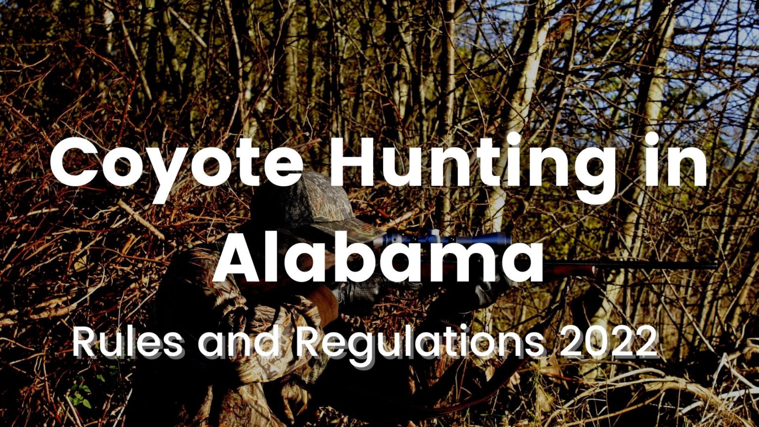 Coyote Hunting in Alabama Rules and Regulations 2023 CoyoteHunting