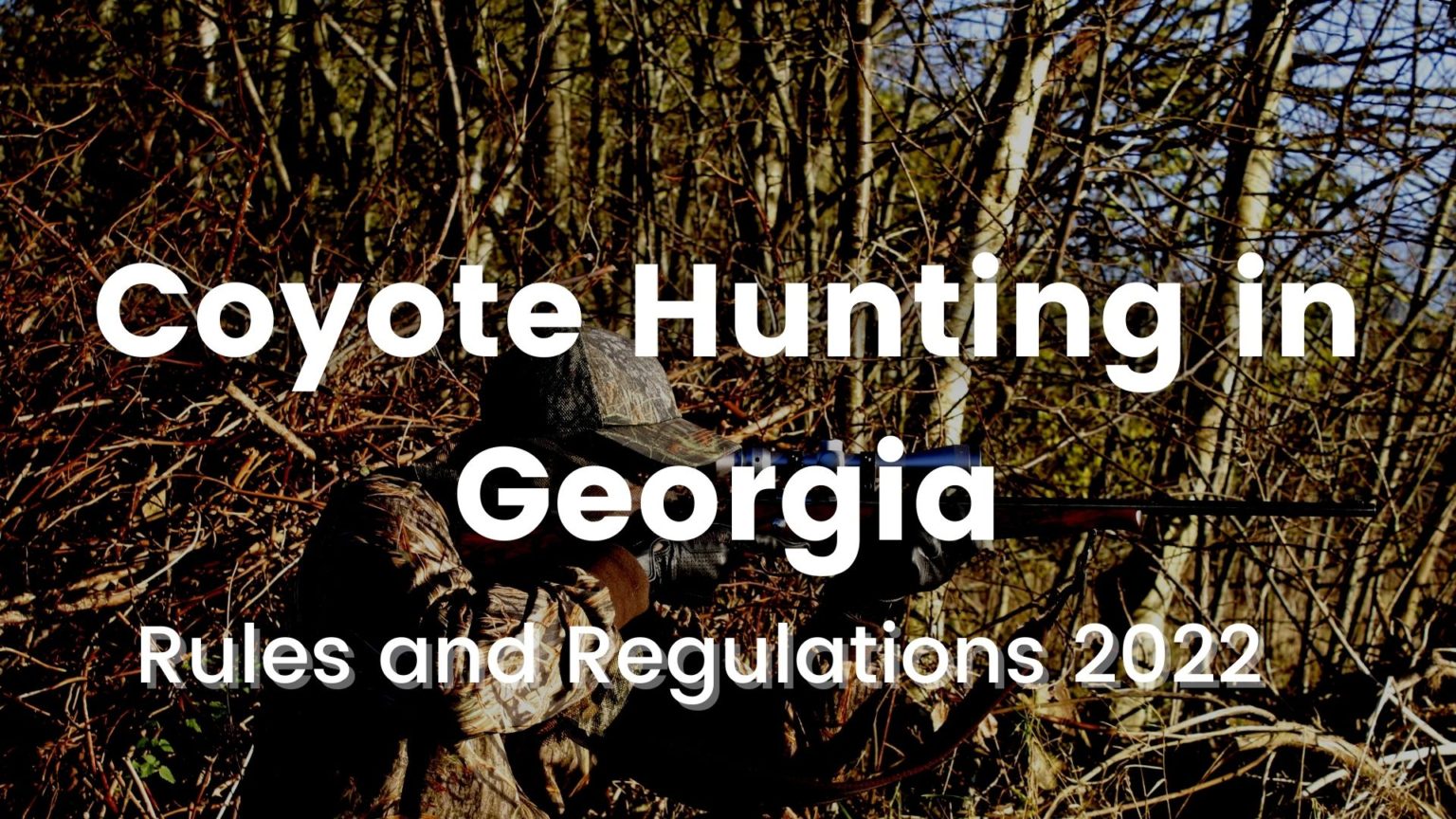 Coyote Hunting in [Rules & Regulations 20232024] CoyoteHunting