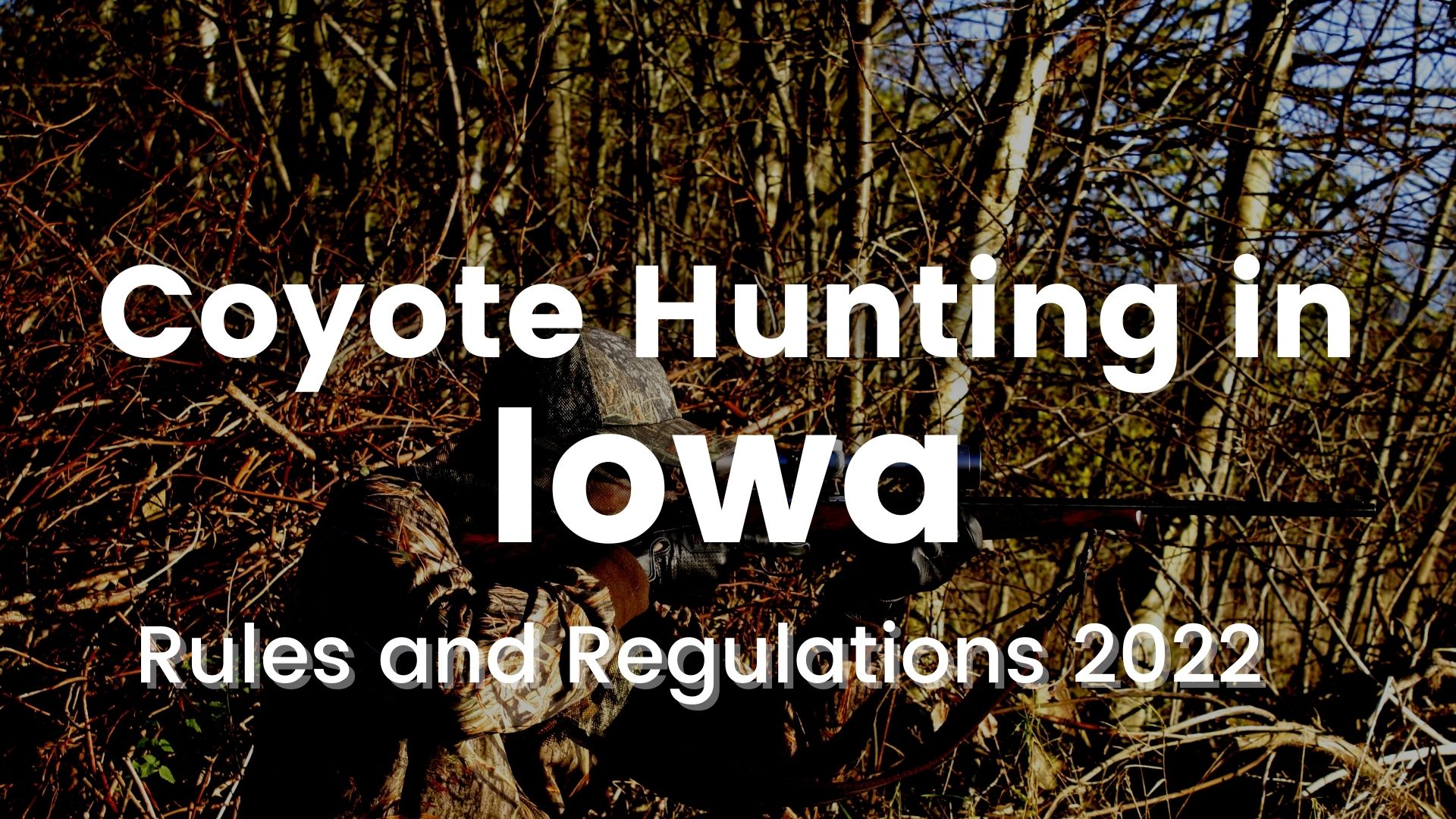 Coyote Hunting in Iowa