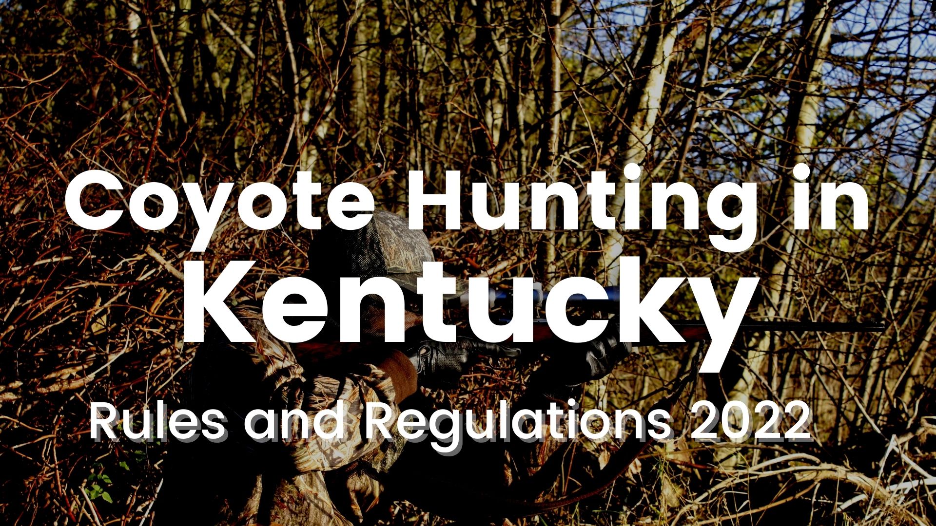Coyote Hunting in Kentucky