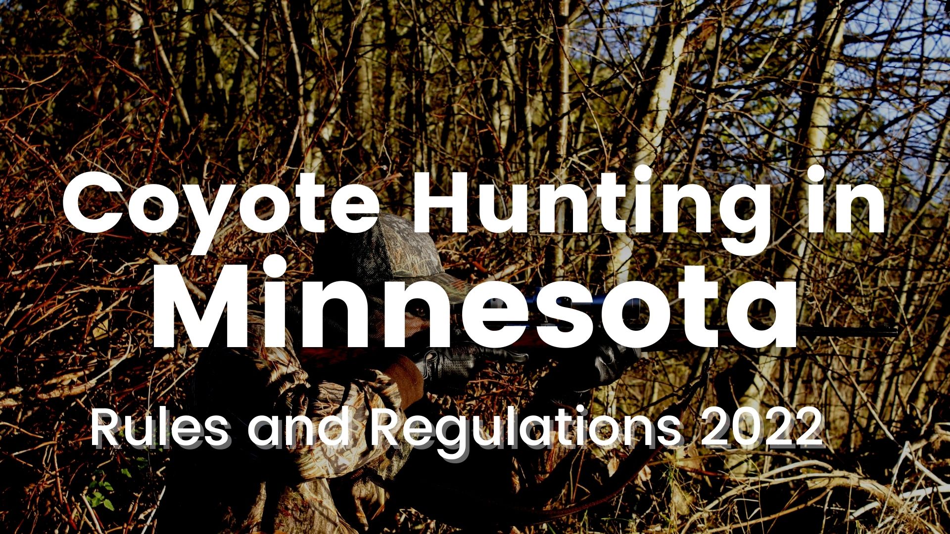 Coyote Hunting in Minnesota