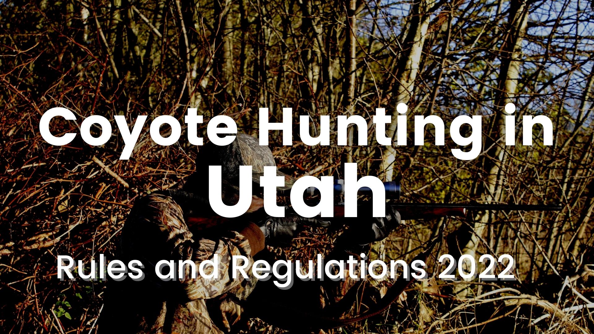 Coyote Hunting in Utah