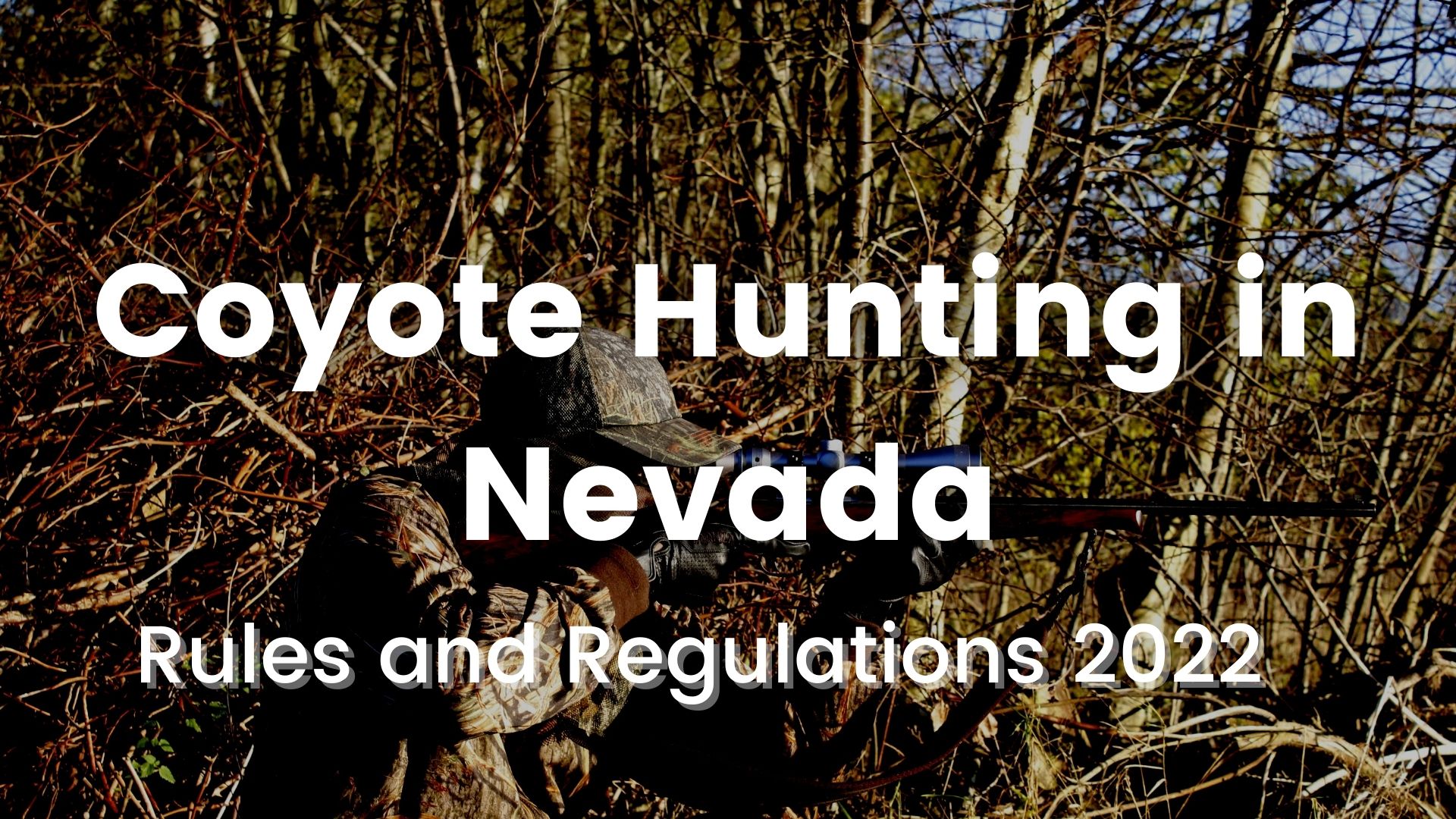 Coyote Hunting in Nevada