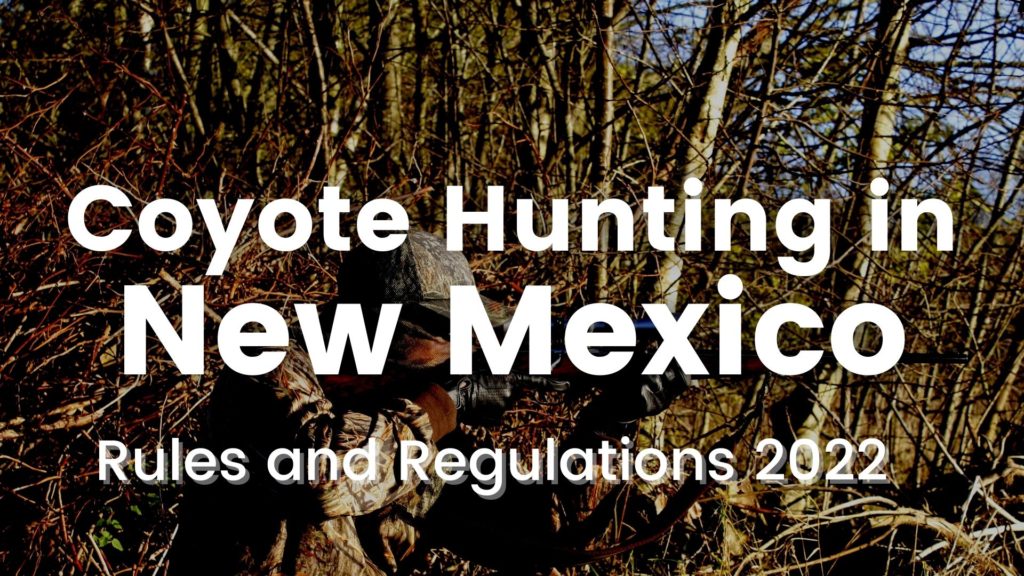 Coyote Hunting In New Mexico Rules And Regulations 2023 2024   Coyote Hunting In New Mexico 1024x576 