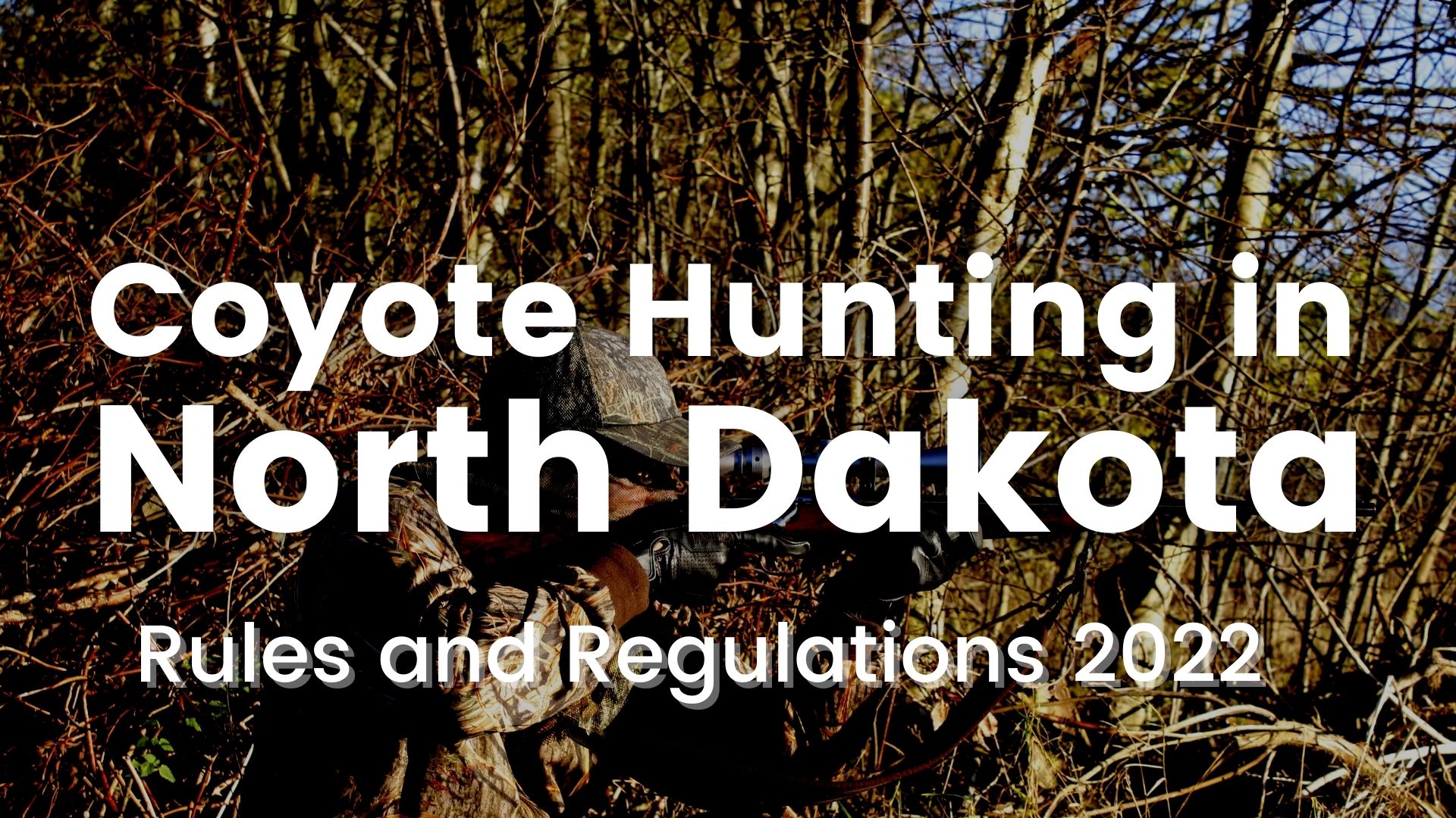 Coyote Hunting in North Dakota