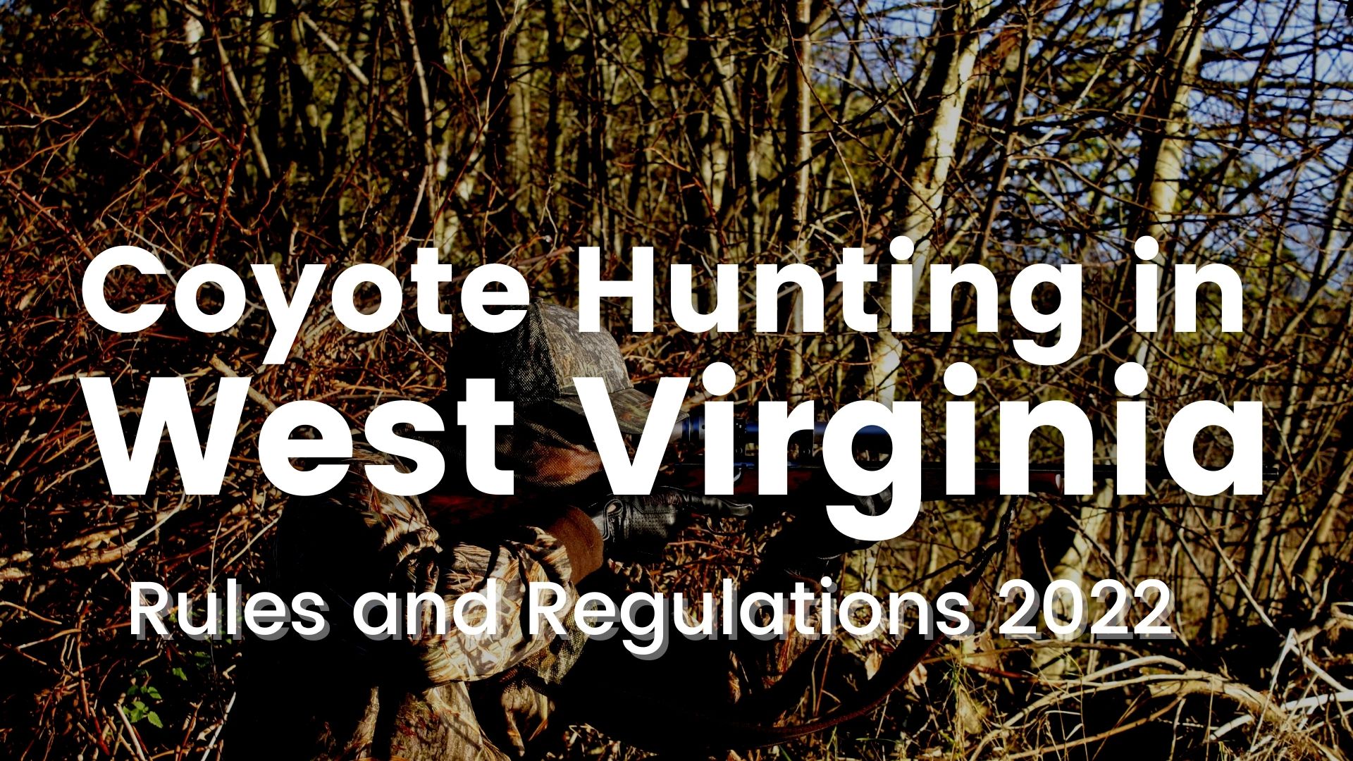 Coyote Hunting in West Virginia