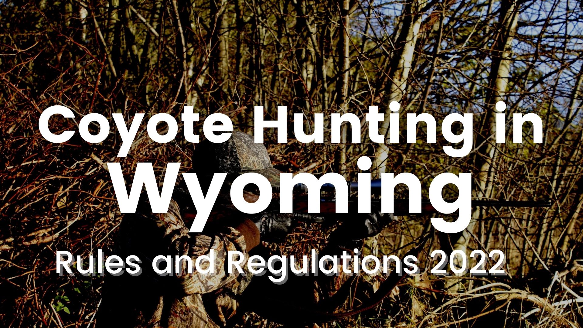 Coyote Hunting in Wyoming