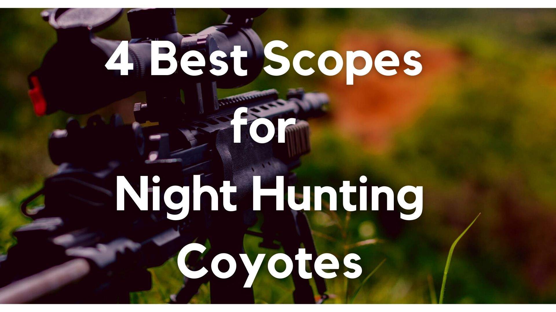 Best Scopes for Night Hunting Coyotes