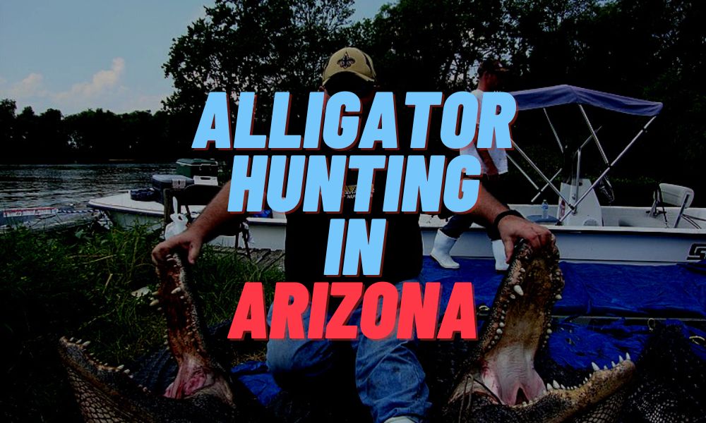 Alligator Hunting In Arizona
