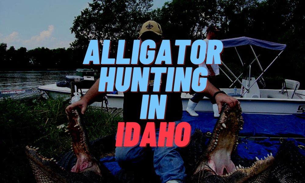 Alligator Hunting In Idaho