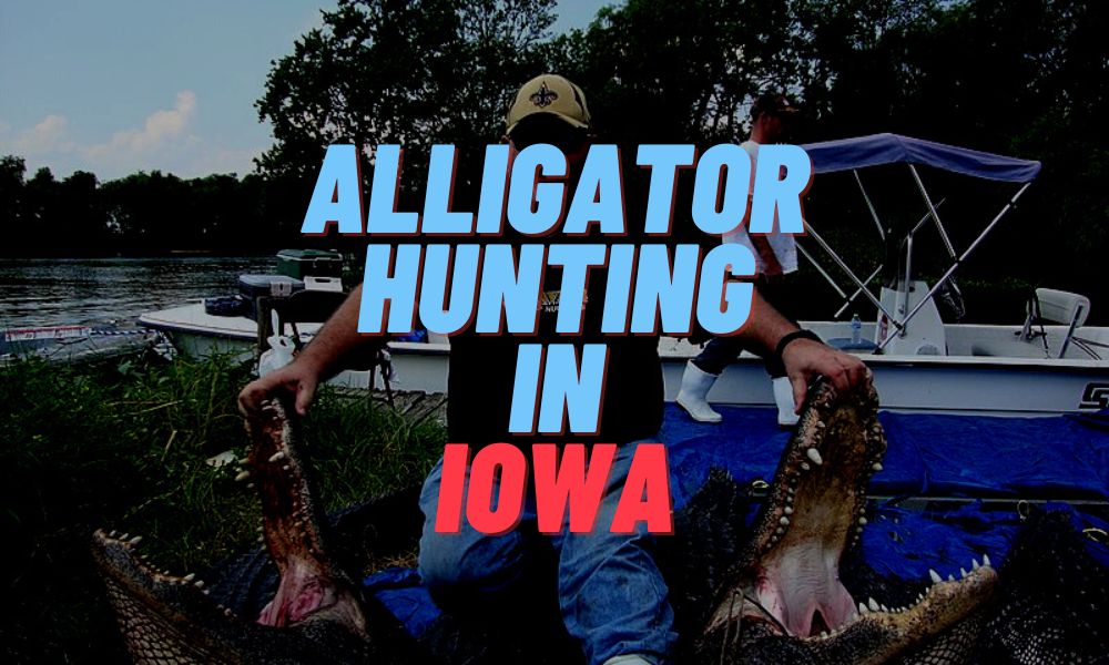 Alligator Hunting In Iowa