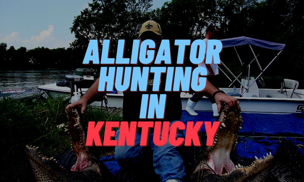 Alligator Hunting In Kentucky
