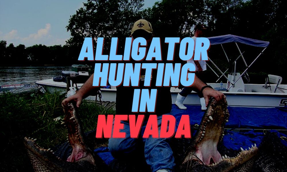 Alligator Hunting In Nevada
