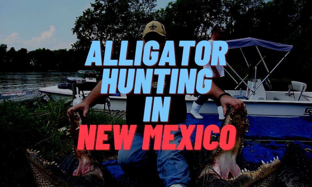 Alligator Hunting In New Mexico