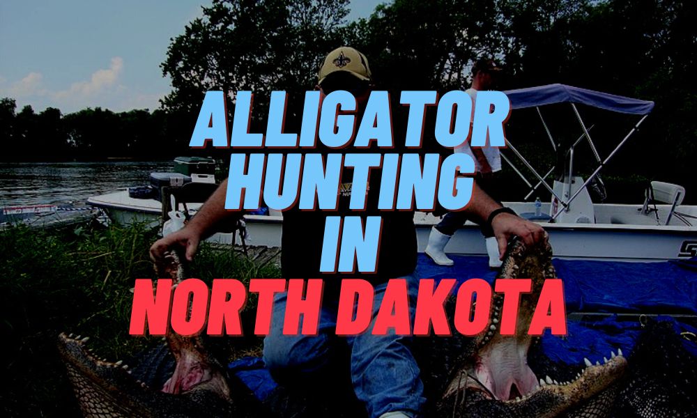 Alligator Hunting In North Dakota