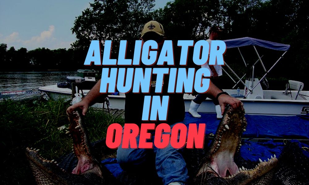 Alligator Hunting In Oregon