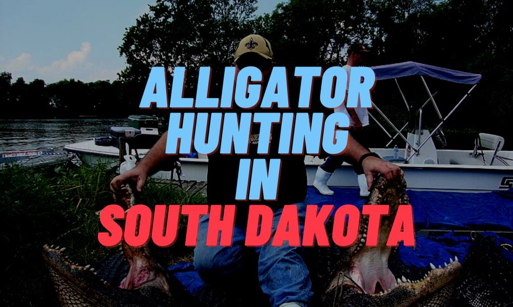 Alligator Hunting In South Dakota