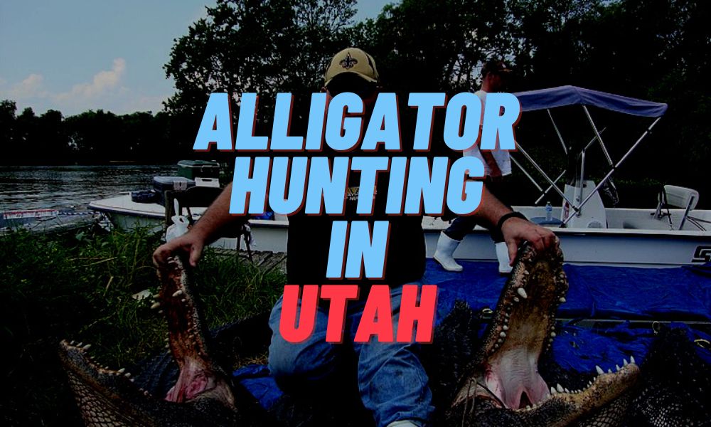 Alligator Hunting In Utah