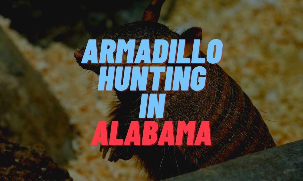 Armadillo Hunting In Alabama