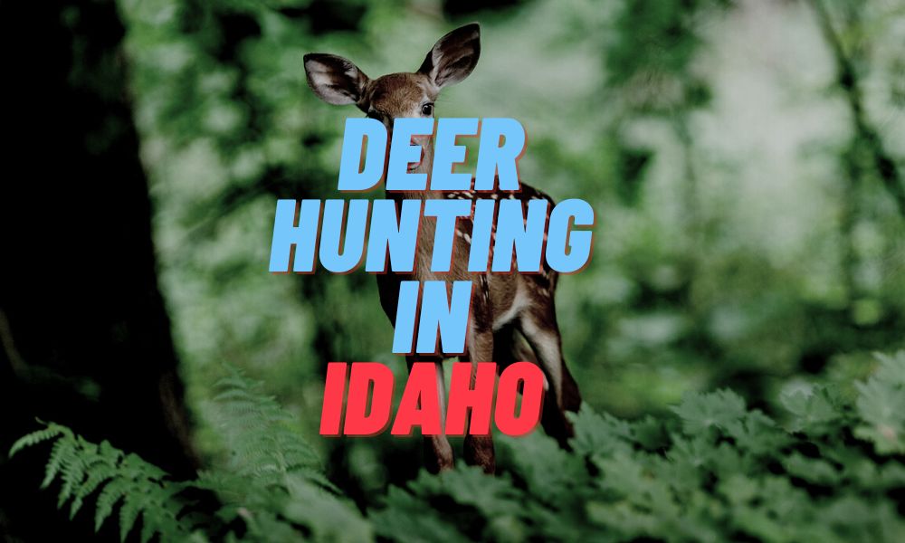 Deer Hunting In Idaho