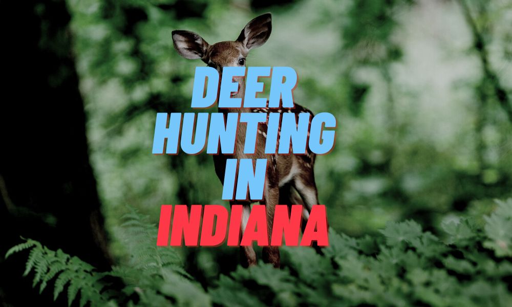Deer Hunting In Indiana