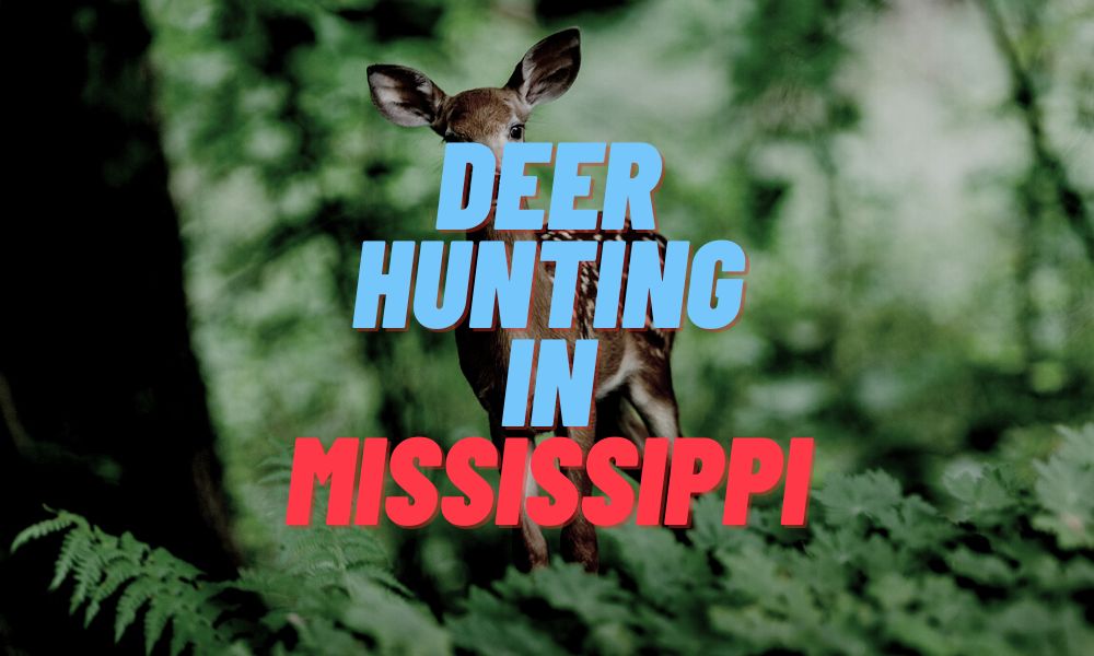 Deer Hunting In Mississippi