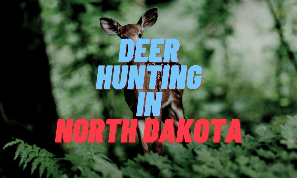 Deer Hunting In North Dakota