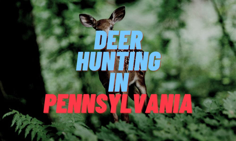 Deer Hunting In Pennsylvania