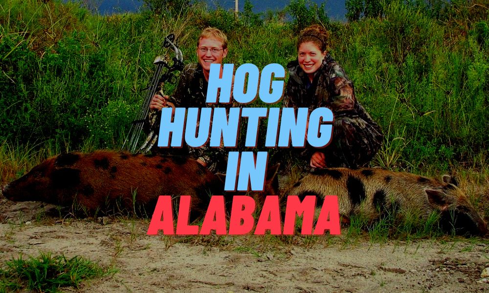Hog Hunting In Alabama