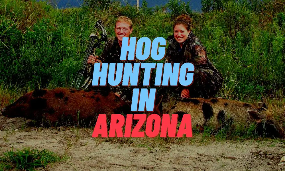 Hog Hunting In Arizona