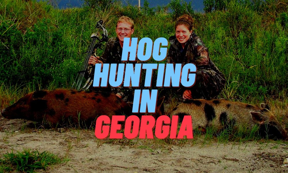 Hog Hunting In Georgia