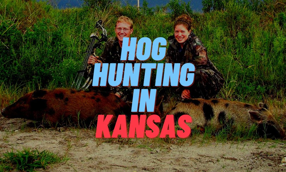 Hog Hunting In Kansas