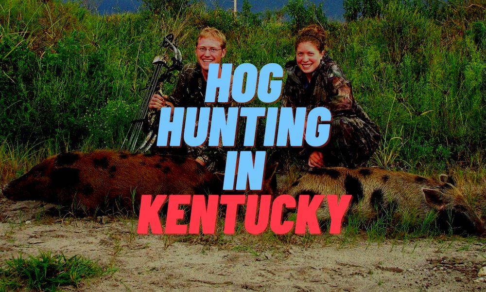 Hog Hunting In Kentucky