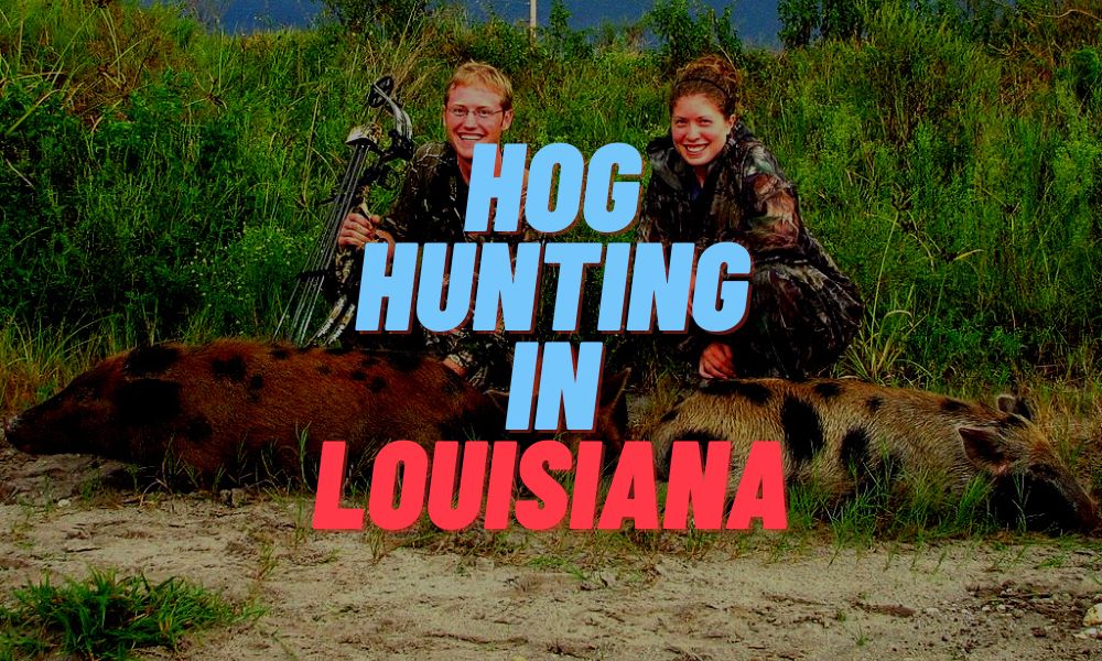 Hog Hunting In Louisiana