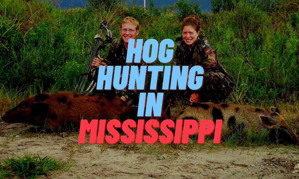 Hog Hunting In Mississippi