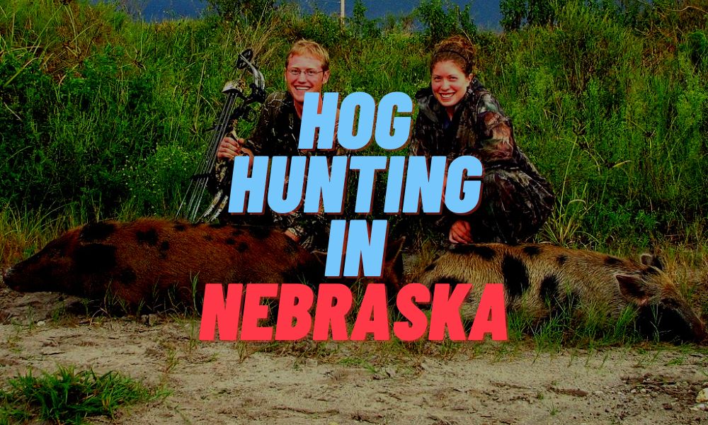 Hog Hunting In Nebraska