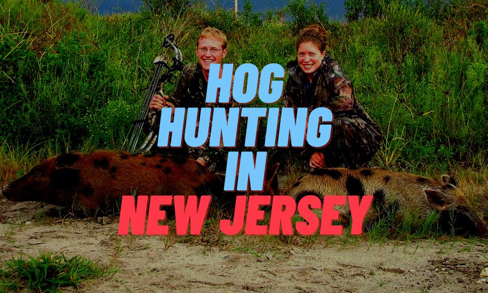 Hog Hunting In New Jersey