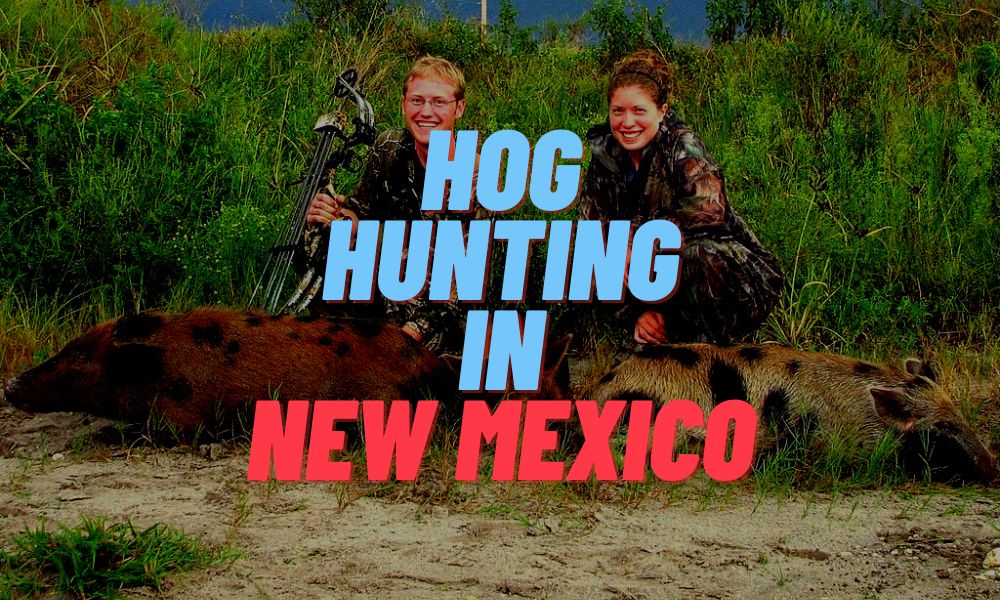 Hog Hunting In New Mexico