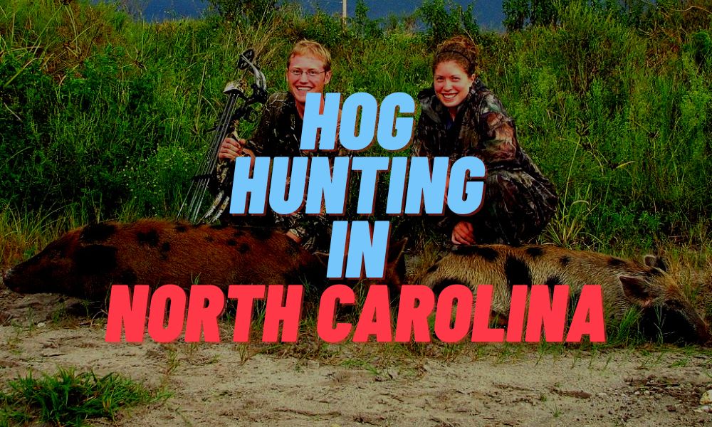 Hog Hunting In North Carolina