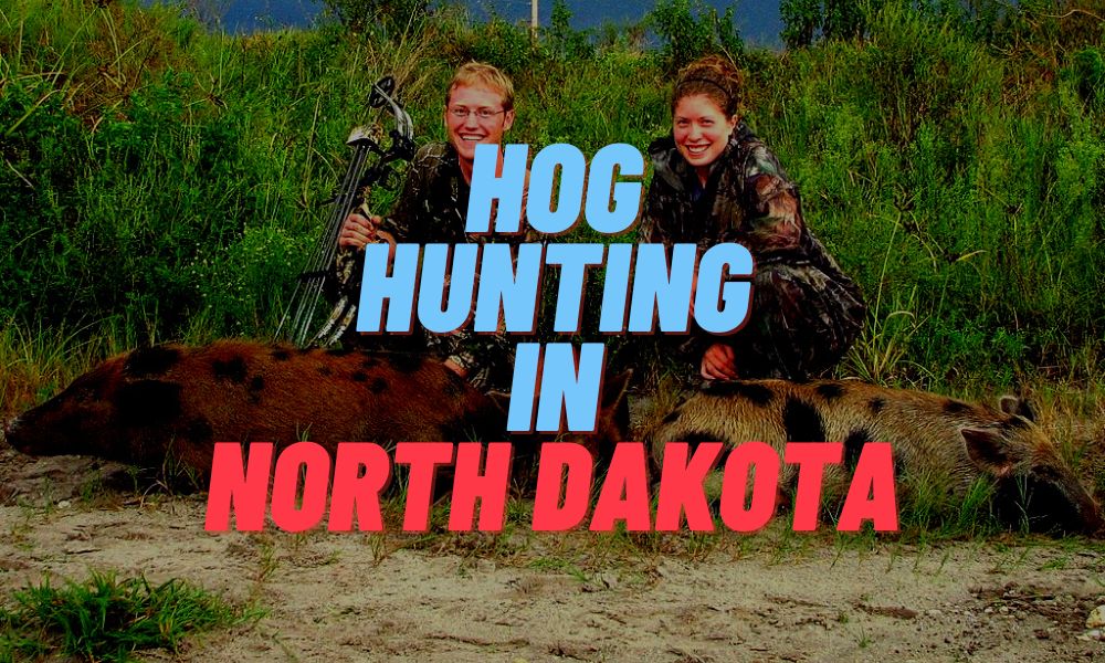 Hog Hunting In North Dakota