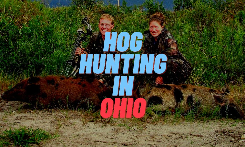 Hog Hunting In Ohio