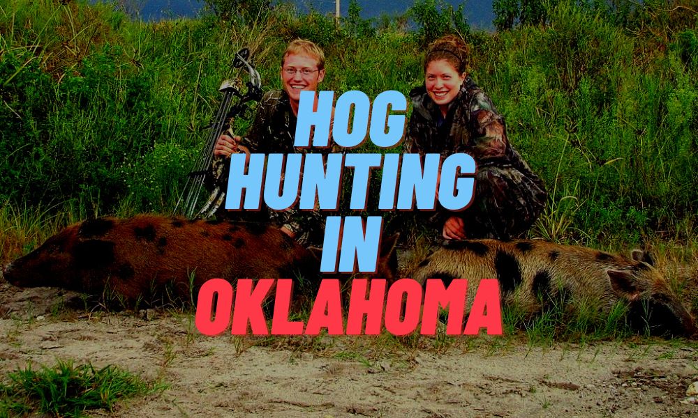 Hog Hunting In Oklahoma
