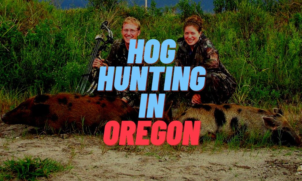 Hog Hunting In Oregon