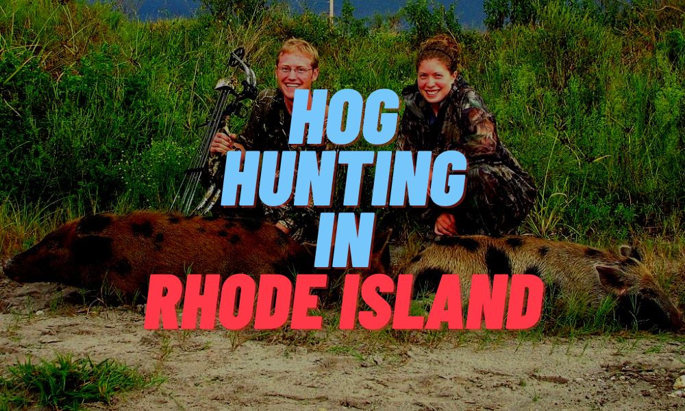 Hog Hunting In Rhode Island