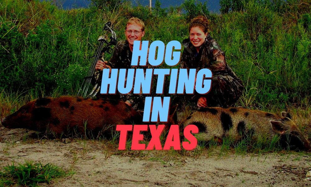 Hog Hunting In Texas