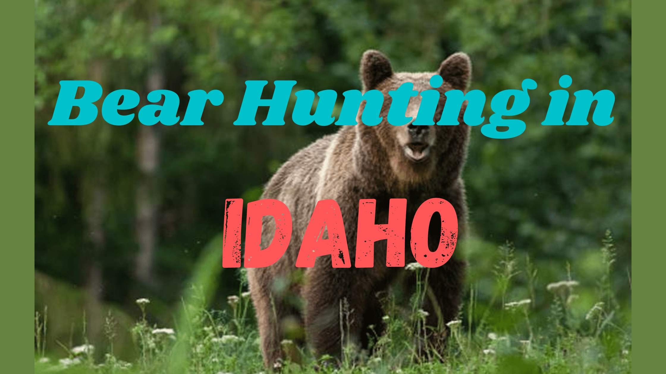 Bear Hunting in Idaho