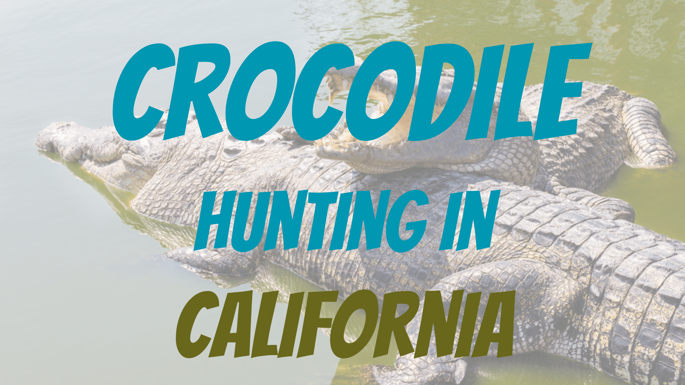 Crocodile Hunting in California