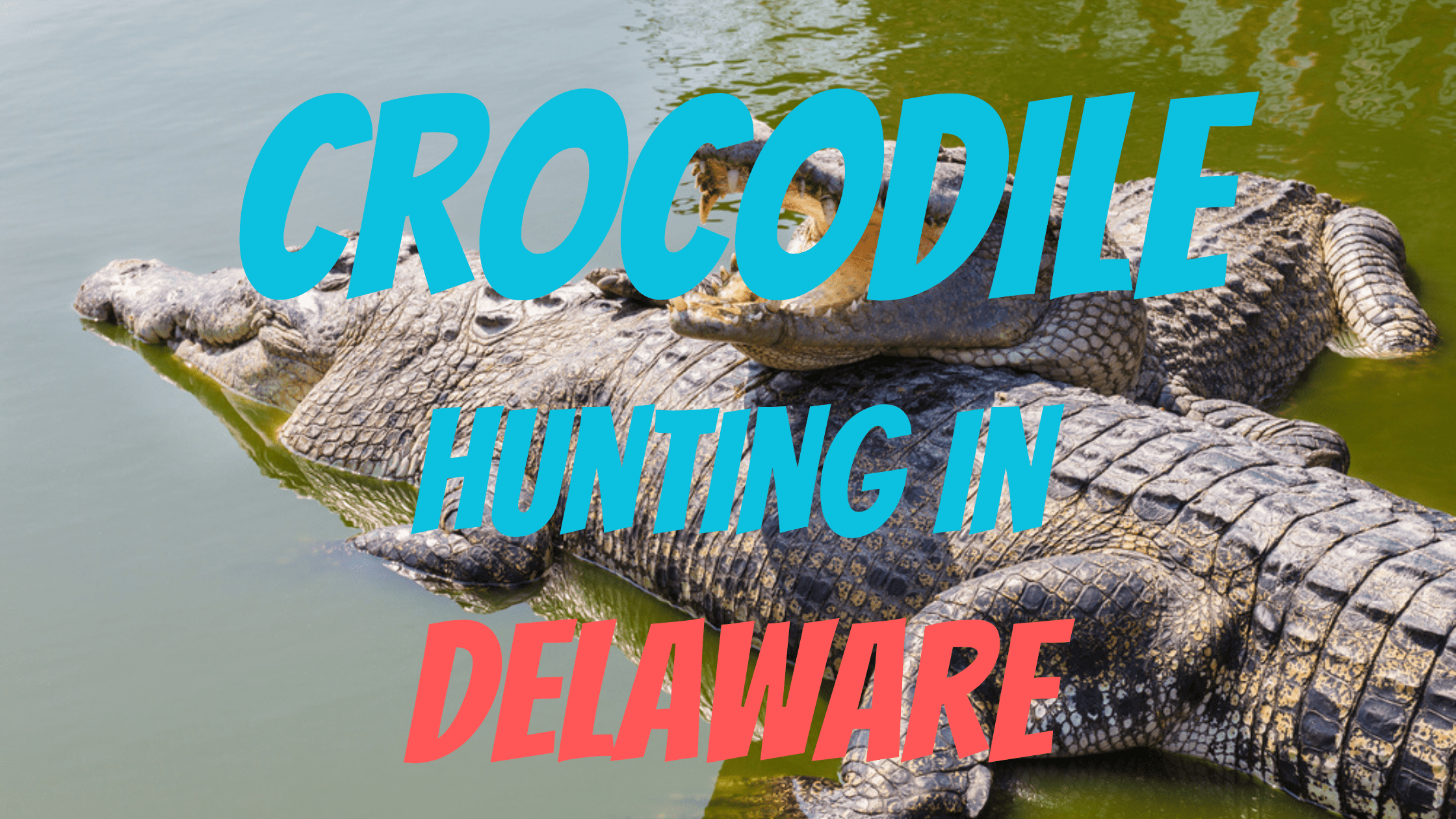 Crocodile Hunting in Delaware