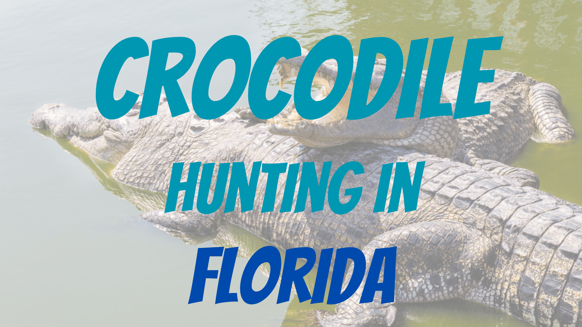 Crocodile Hunting in Florida