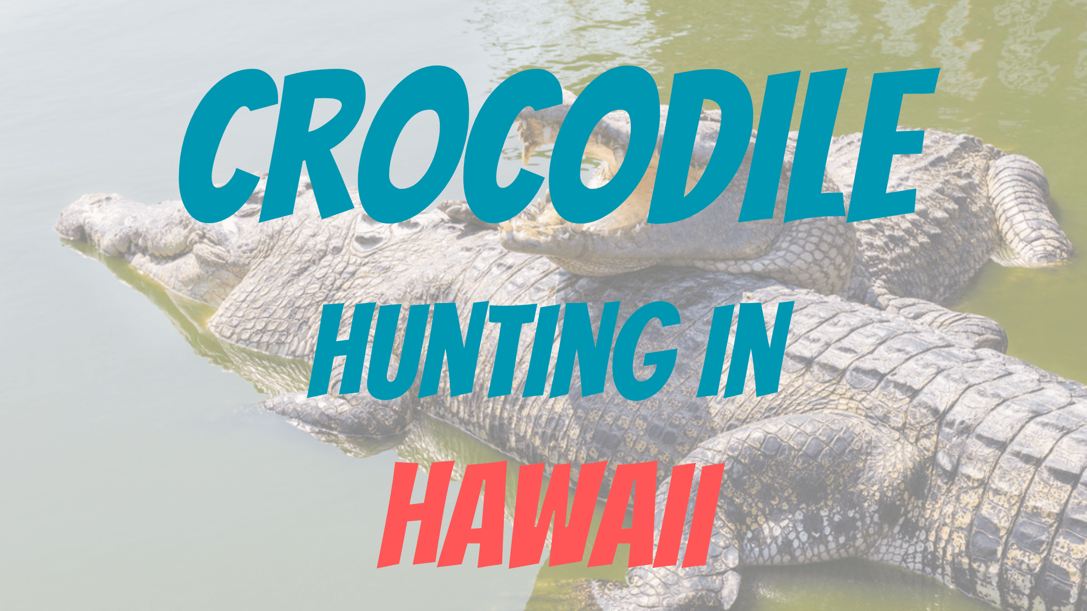 Crocodile Hunting in Hawaii